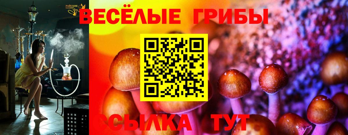 Галлюциногенные грибы Cubensis Волгоград