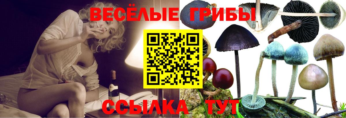 Волгоград  Псилоцибиновые грибы Magic Shrooms  наркошоп  Вход с VPN  Псилоцибиновые грибы Cubensis 